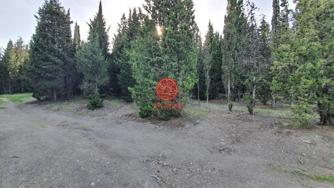 Участок 11 соток пос.Семидворье г.Алушта