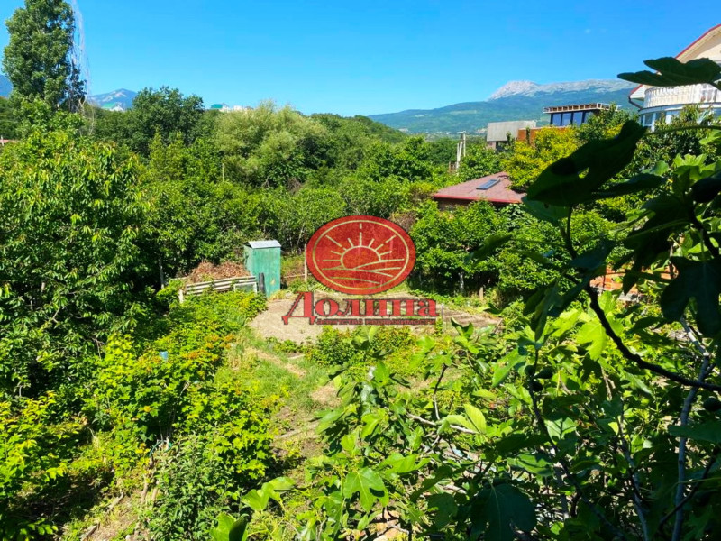 Участок 6 соток с.Нижняя Кутузовка г.Алушта СНТ Оливковая роща