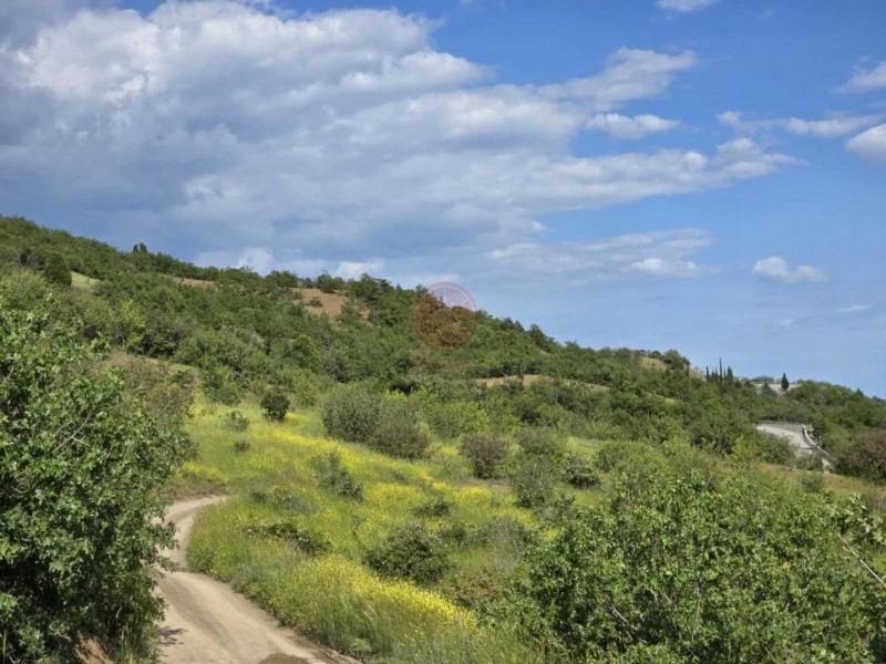 продажа земельного участка в с. Лучистое Алушта Крым