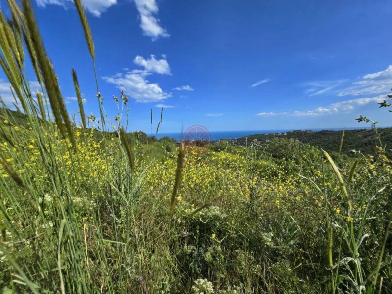 продажа земельного участка в с. Лучистое Алушта Крым