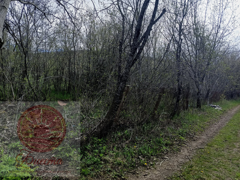 купить недорого участок в Мраморном