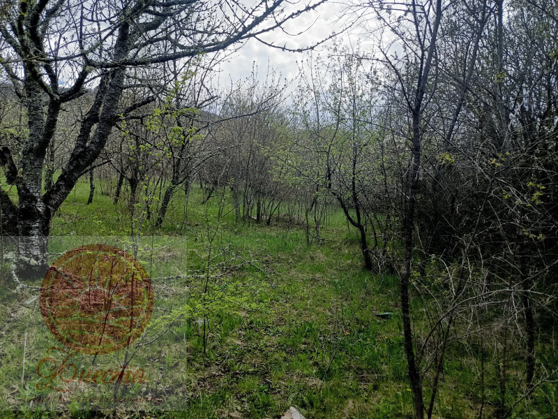 купить недорого участок в Мраморном